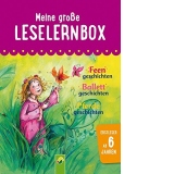 Meine grosse Leselernbox: Feengeschichten, Ballettgeschichten, Pferdegeschichten: Mit 3 Lesestufen (Leselernbuch)