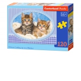 Puzzle 120 piese Kittens Currling up on a Blanket