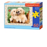 Puzzle 60 piese Golden Retriever Pups