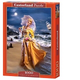 Puzzle 1000 piese A Walk in the Moonlight