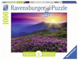 Puzzle Pasune La Rasarit, 1000 Piese