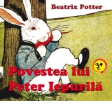 Povestea lui Peter Iepurila