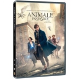 Animale Fantastice si unde le poti gasi (DVD)