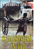 O garsoniera in iad