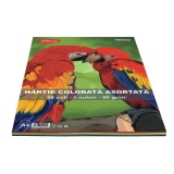 Hartie colorata HR850 A4 50 coli 5 culori DACO 80g/mp