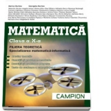 Matematica - Clasa a X-a. Filiera teoretica, Specializarea matematica-informatica. Breviar teoretic, exercitii si probleme rezolvate si propuse, teste de evaluare a cunostintelor