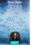 Elias si spioana Carturarilor 2. O torta in noapte