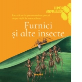 Furnici si alte insecte (Lumea animalelor)