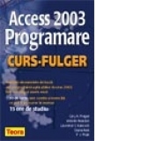 ACCES 2003. Programare - curs fulger