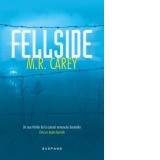 Fellside