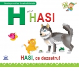 H de la Hasi. Hasi, ce dezastru!