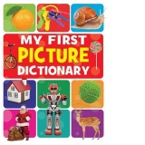 My first picture dictionary