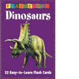 Dinosaurs flash cards