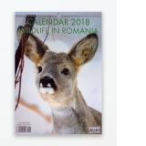 Calendar de perete 2018 - Wildlife in Romania