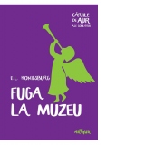 Fuga la muzeu