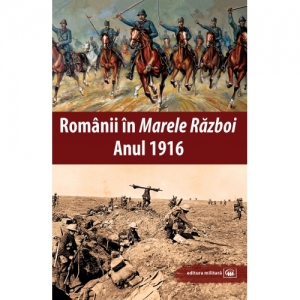 Romanii in Marele Razboi. Anul 1916. Documente, impresii, marturii