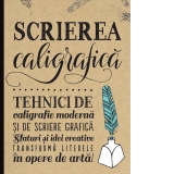 Scrierea caligrafica. Tehnici de caligrafie moderna si de scriere grafica