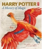 Harry Potter - A History of Magic