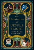 Illumination of Ursula Flight