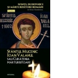 Sfinti, duhovnici si marturisitori romani. Vol.6 - Sfantul Mucenic Ioan Valahul sau Curatenia marturisitoare