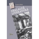 Cealalta literatura. Nonfictiunea intre show si intelepciune