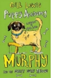 Puppy Academy: Murphy and the Great Surf Rescue