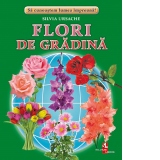 Flori de gradina. Fise