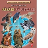 Pasari rapitoare