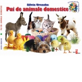 Pui de animale domestice