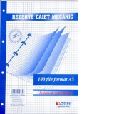 Rezerve caiet mecanic Diamond Line, format A5, 100 file, liniatura aritmetica