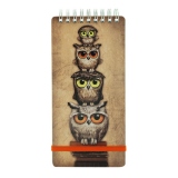 Carnet to do  Book Owls