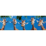 Puzzle 120 piese-Girafe