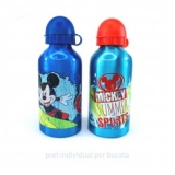 Recipient apa 500 ml Mickey