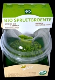 Kit pentru Germinare Linte