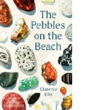 Pebbles on the Beach