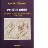 Pe caile robiei. Insemnarile unui prizonier roman (1916-1918)