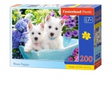 Puzzle Castorland 200 piese Catelusi Westie