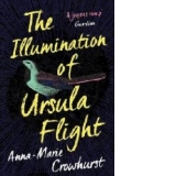 Illumination of Ursula Flight