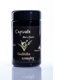 Capsule Nera Plant Salicilo complex (Aspirina vegetala), 100 cps