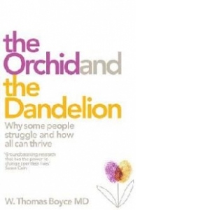 Orchid and the Dandelion