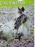 Calendar Cai 12 file 2019