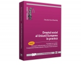 Dreptul social al Uniunii Europene in practica. Partea I. Conceptul de lucrator. Principiul nediscriminarii. Protectia lucratorilor. Cooperarea transfrontaliera. Modelul social european