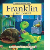 Franklin si intunericul