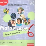 Matematica. Algebra, geometrie. Caiet de lucru. Clasa a VI-a. Consolidare si aprofundare. Partea a II-a