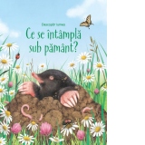 Ce se intampla sub pamant? (Usborne)