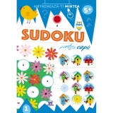 Sudoku pentru copii, 5 +