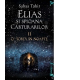 Elias si spioana Carturarilor 2. O torta in noapte