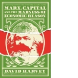 Marx, Capital and the Madness of Economic Reason