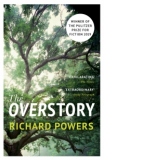 Overstory