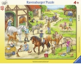 PUZZLE TIP RAMA FERMA, 40 PIESE